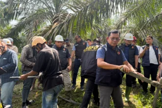 Sejumlah petugas PLN berupaya melakukan perbaikan listrik yang padam.