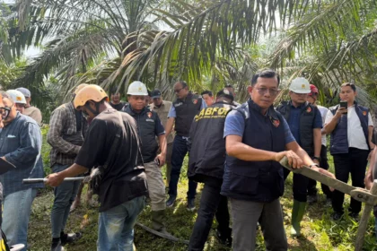 Sejumlah petugas PLN berupaya melakukan perbaikan listrik yang padam.
