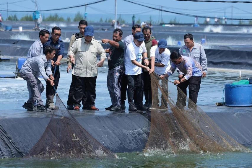 Presiden Prabowo Subianto menghadiri panen raya udang di kawasan Budi Daya Udang Berbasis Kawasan (BUBK) Kebumen, Jawa Tengah, Sabtu, 23 Mei 2026.