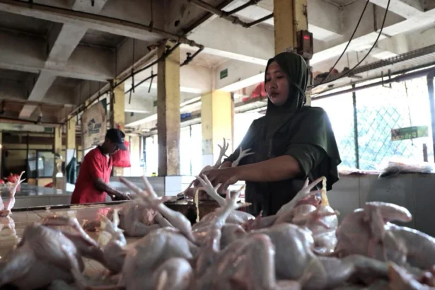 Aktifitas pedagang di salah satu pasar di Jakarta