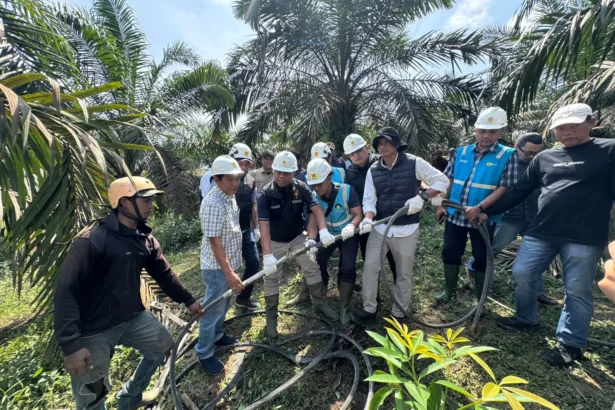 Sejumlah petugas PLN berupaya melakukan perbaikan listrik yang padam.