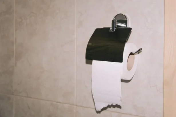 Ilustrasi Tisu Toilet