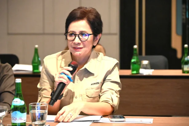 Anggota Komisi I DPR RI, Nurul Arifin
