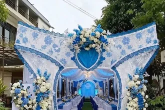 Dekorasi Pernikahan Tema Frozen