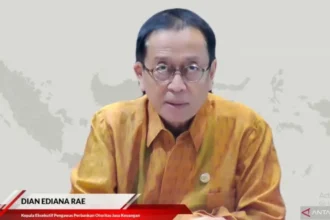 Kepala Eksekutif Pengawas Perbankan OJK Dian Ediana Rae.