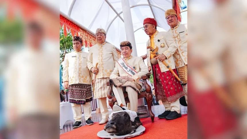 Presiden ke-7 RI Joko Widodo menginjak kepala kerbau saat menghadiri prosesi adat di Lampung. (Sumber: Istimewa)