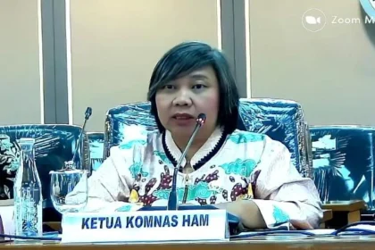 Ketua Komnas HAM Anis Hidayah