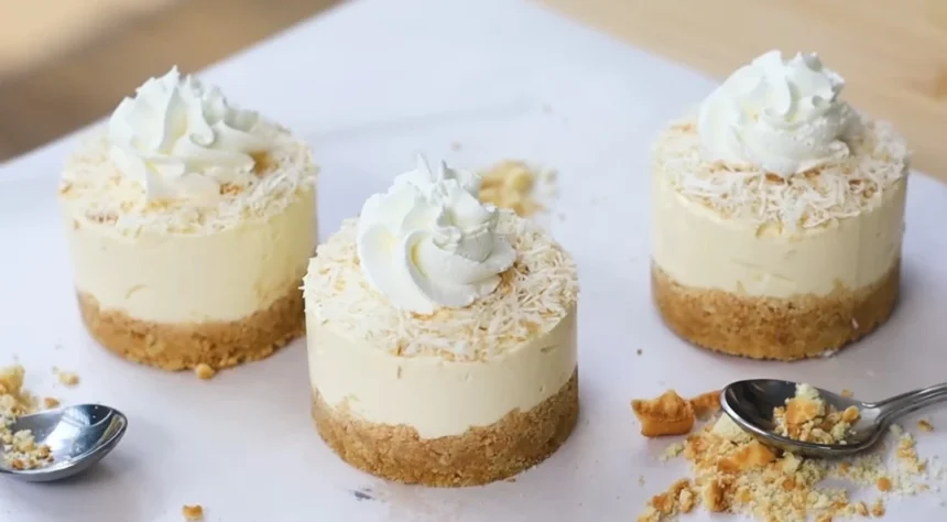 Cheesecake Tanpa Oven