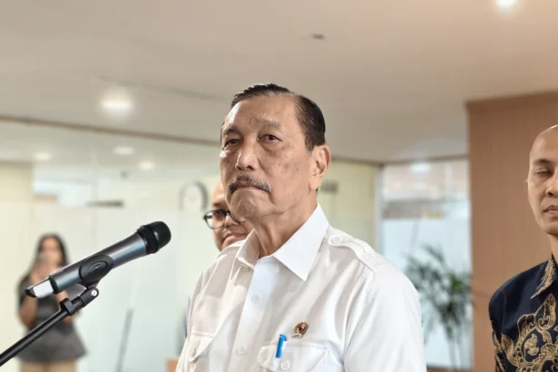 Ketua Dewan Ekonomi Nasional Luhut Binsar Pandjaitan (sumber: Owrite/Anisa Aulia)