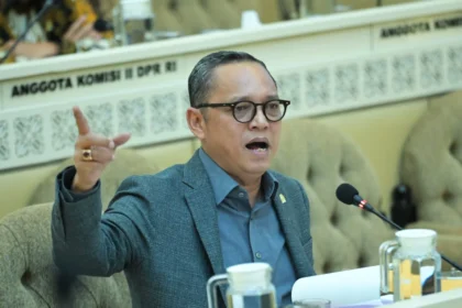 Politisi PDI Perjuangan, Deddy Sitorus