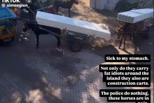 Turis Serukan Boikot Gili Trawangan
