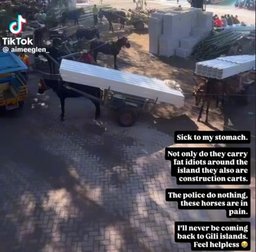 Turis Serukan Boikot Gili Trawangan