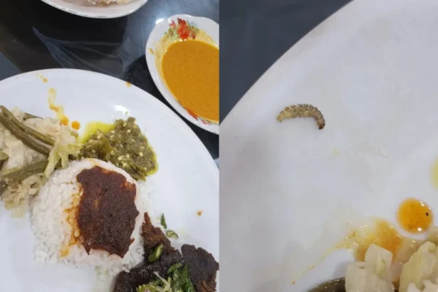 Penemuan ulat di sayuran