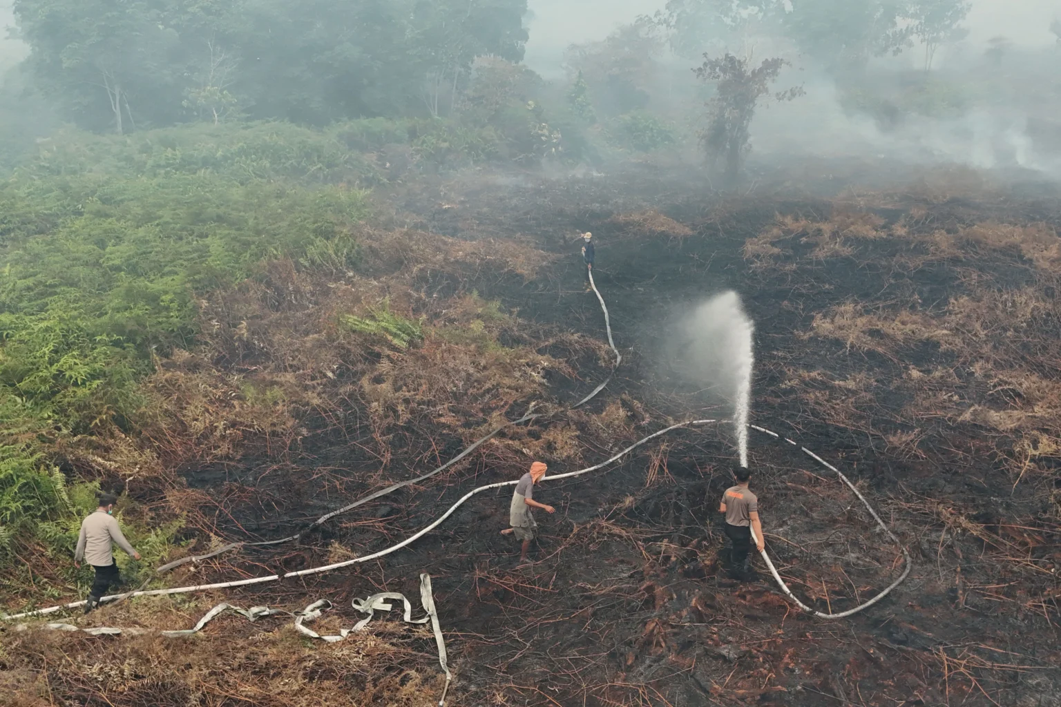 Foto udara personel Polres Aceh Barat melakukan upaya pemadaman dan pendinginan saat penanganan kebakaran hutan dan lahan (karhutla) di kawasan lahan gambut Desa Kuta Padang, Kecamatan Bubon, Aceh Barat, Aceh
