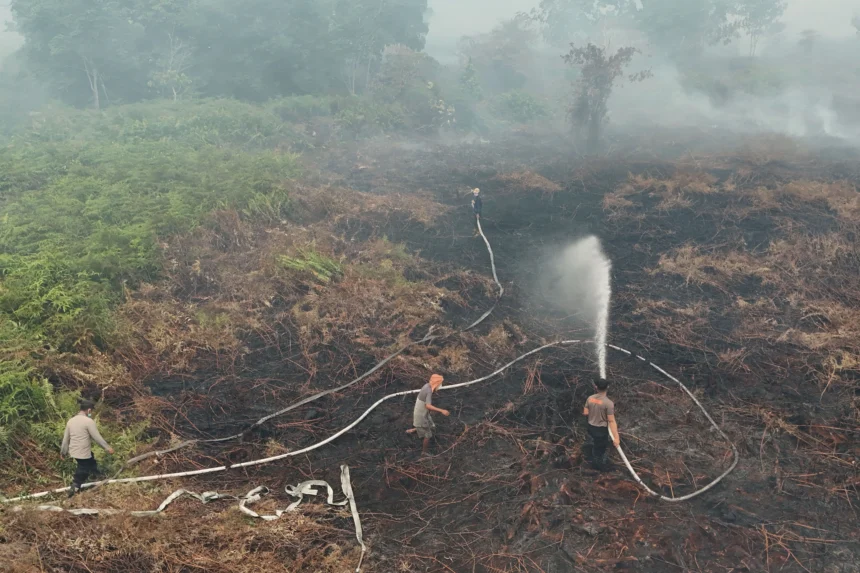 Foto udara personel Polres Aceh Barat melakukan upaya pemadaman dan pendinginan saat penanganan kebakaran hutan dan lahan (karhutla) di kawasan lahan gambut Desa Kuta Padang, Kecamatan Bubon, Aceh Barat, Aceh