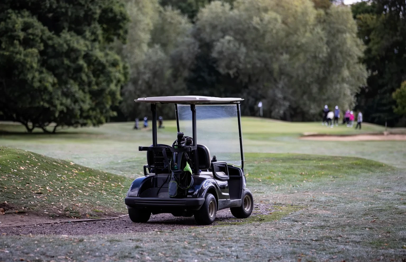 Buggy car golf.