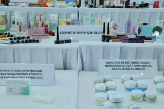 Kosmetik Ilegal