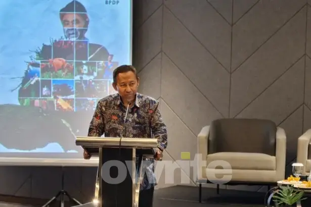 Direktur Keuangan, Manajemen Risiko dan Umum BPDP Zaid Burhan Ibrahim (sumber: Owrite/Anisa Aulia)