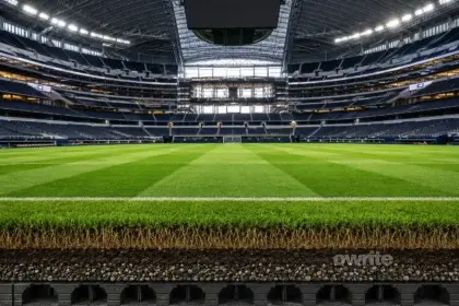 Ilustrasi rumput stadion sepak bola.