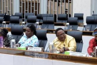 Wakil Ketua IV DPR Papua Tengah, John NR Gobai saat Rapat Dengar Pendapat Umum (RDPU) bersama Komisi IV DPR RI di Gedung DPR, Senayan.