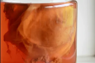 Kombucha
