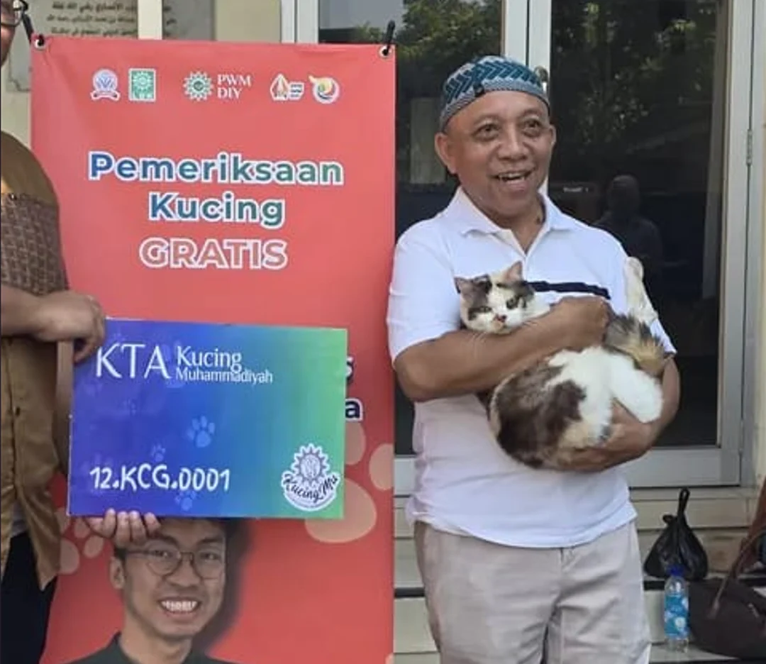 Pemeriksaan kucing gratis