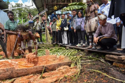 Wakil Presiden Gibran Rakabuming Raka (kanan) melihat proses pembuatan sagu saat meninjau Sekolah Lapang Sagu Keuskupan Agats di Kabupaten Asmat, Papua Selatan, Minggu (21/6/2026).