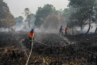 Petugas memadamkan sisa api yang membakar lahan gambut di Kelurahan Kameloh Baru, Palangka Raya, Kalimantan Tengah