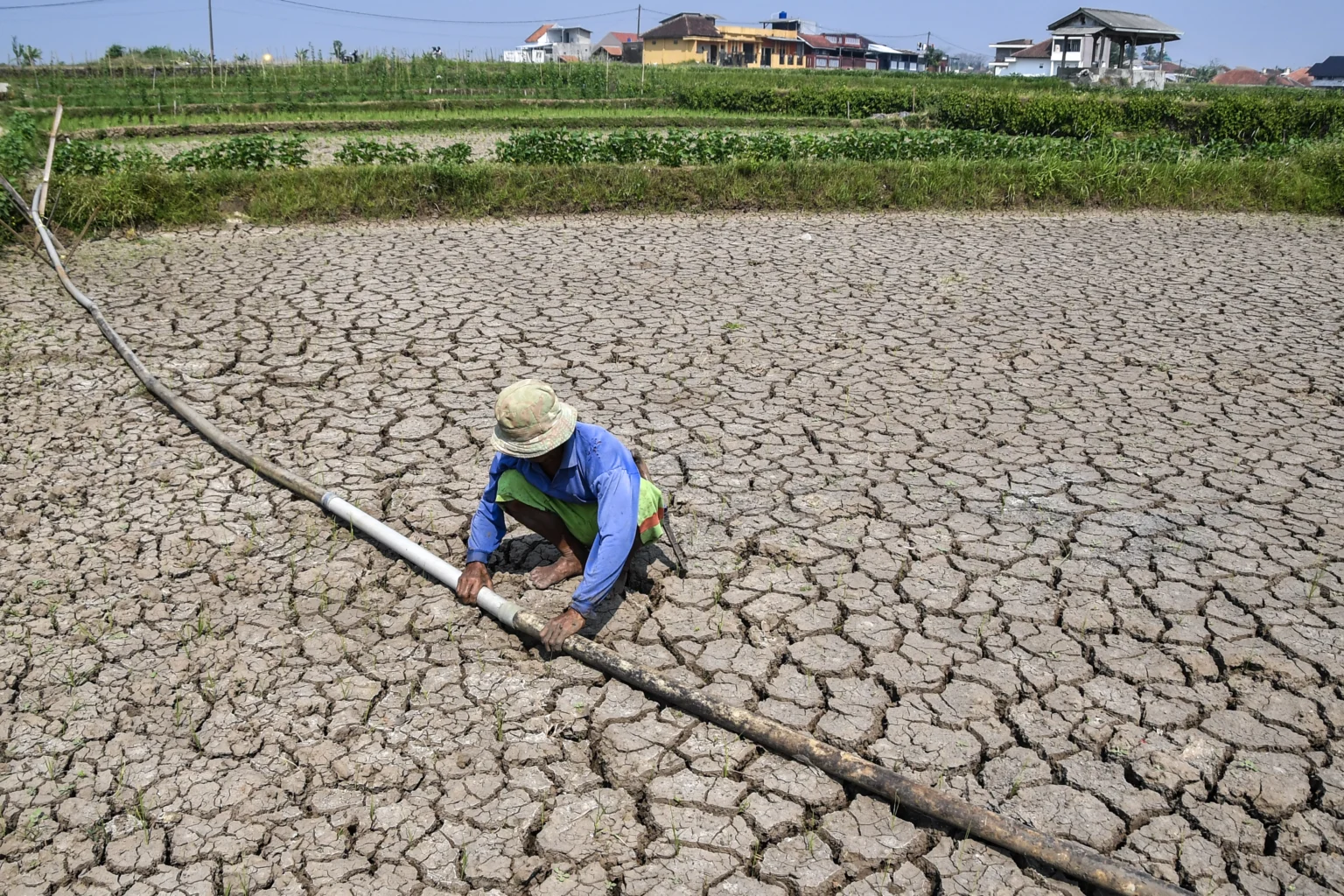 Petani memeriksa pipa air ubi di lahan sawah irigasi anak Sungai Cimulu yang mengering di Kampung Ciwasmandi, Kelurahan Sukajaya, Kecamatan Purbaratu, Kota Tasikmalaya, Jawa Barat, Kamis (16/7/2026).