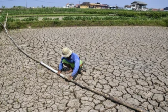 Petani memeriksa pipa air ubi di lahan sawah irigasi anak Sungai Cimulu yang mengering di Kampung Ciwasmandi, Kelurahan Sukajaya, Kecamatan Purbaratu, Kota Tasikmalaya, Jawa Barat, Kamis (16/7/2026).