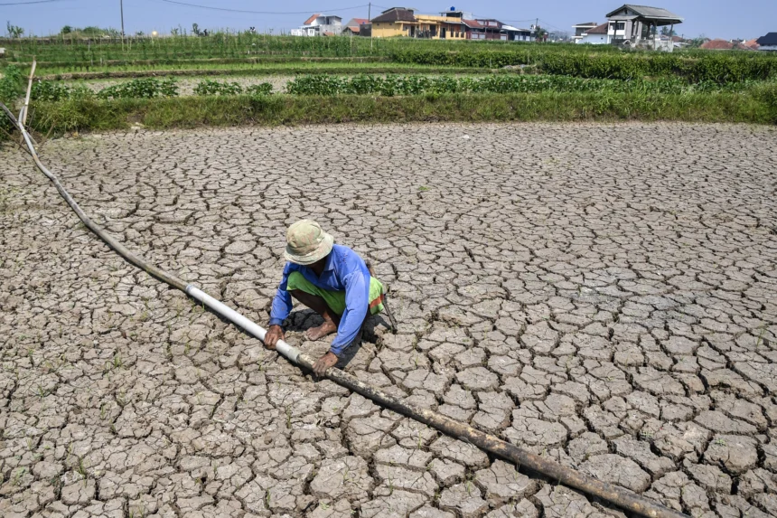 Petani memeriksa pipa air ubi di lahan sawah irigasi anak Sungai Cimulu yang mengering di Kampung Ciwasmandi, Kelurahan Sukajaya, Kecamatan Purbaratu, Kota Tasikmalaya, Jawa Barat, Kamis (16/7/2026).