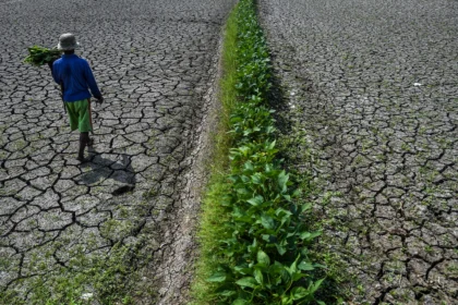 Petani berjalan di lahan sawah irigasi anak Sungai Cimulu yang mengering di Kampung Ciwasmandi, Kelurahan Sukajaya, Kecamatan Purbaratu, Kota Tasikmalaya, Jawa Barat, Kamis (16/7/2026).