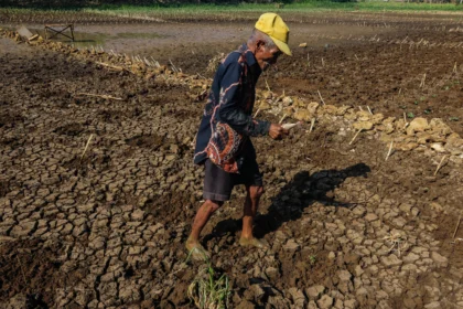 Warga berjalan di dasar Telaga Kedung Giriwungu yang mengering di Kapanewon Panggang, Kabupaten Gunungkidul, DI Yogyakarta, Selasa (28/7/2026).