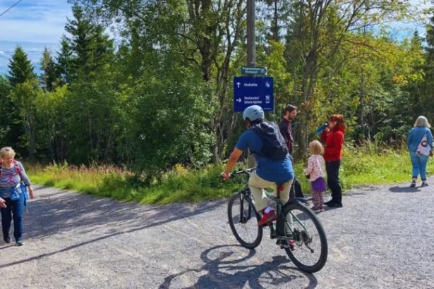 Anak anak di Norwegia yang gemar menghabiskan waktu di alam, di Hutan Oslo