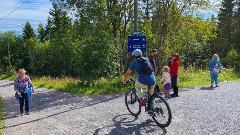 Anak anak di Norwegia yang gemar menghabiskan waktu di alam, di Hutan Oslo