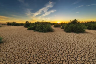 Ilustrasi kekeringan akibat El Nino