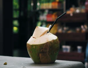 Kelapa muda