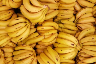 Pisang