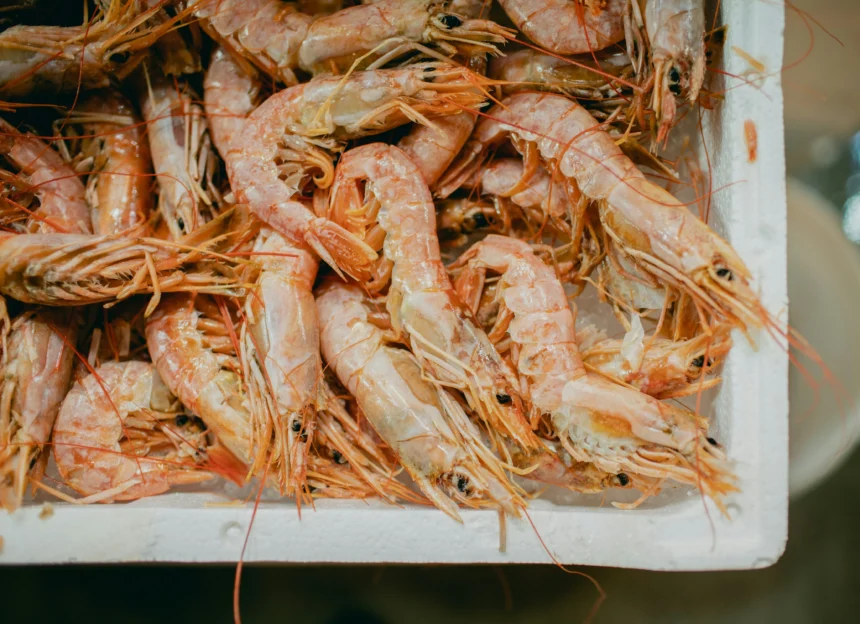 Ilustrasi udang