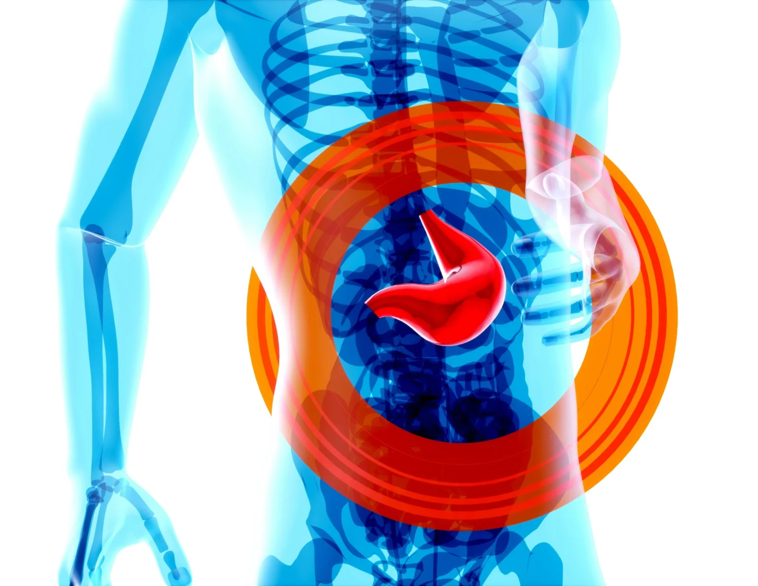 Ilustrasi Fatty Liver Kini Banyak Menyerang Usia 30-an