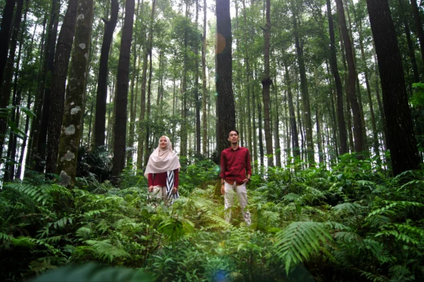 Ilustrasi saat Healing di Hutan