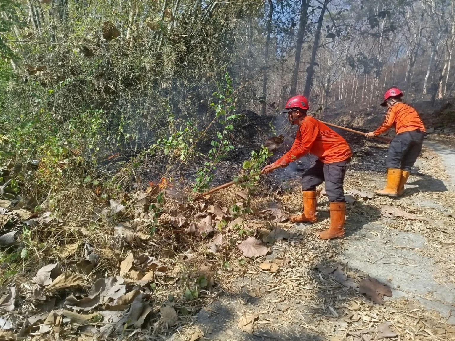Petugas berupaya memadamkan api yang membakar lahan di kabupaten Trenggalek, Jawa Timur, Sabtu, 8 Agustus 2026.