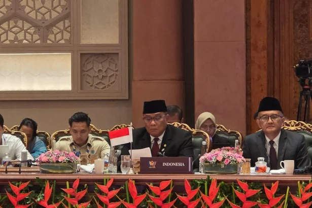 Menteri Lingkungan Hidup Jumhur Hidayat dalam forum BRICS di India, Agustus 2026.