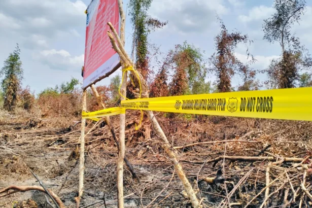 Dampak kebakaran lahan, KLH segel konsesi PT Bintang Harapan Palma, Agustus 2026.