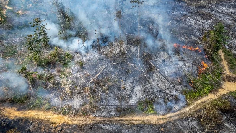 Foto udara bekas tebangan kayu yang terbakar di Tenam, Batang Hari, Jambi.