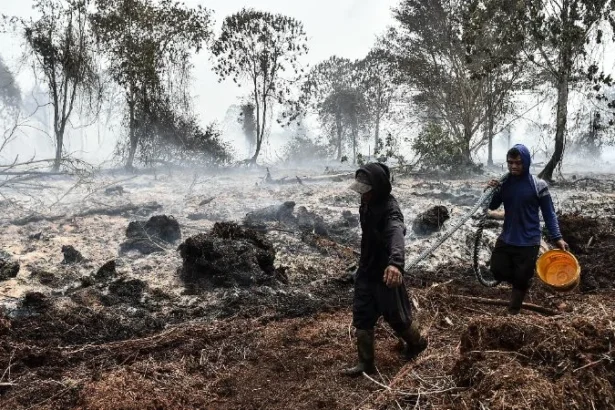 Warga mengangkut selang air di tengah upaya pemadaman kebakaran hutan dan lahan (karhutla) di lahan gambut. (ANTARA FOTO/Wahdi Septiawan)
