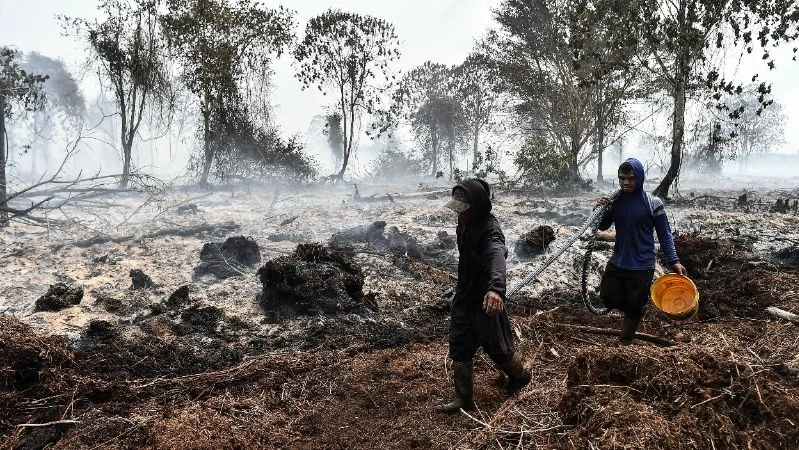 Warga mengangkut selang air di tengah upaya pemadaman kebakaran hutan dan lahan (karhutla) di lahan gambut. (ANTARA FOTO/Wahdi Septiawan)