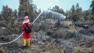 Petugas tengah melakukan pendinginan di lokasi kebakaran lahan.