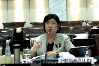 Fit and Proper Test Calon Gubernur BI, Destry Damayanti di Komisi XI DPR RI. (Sumber: YouTube Tv Parlemen)