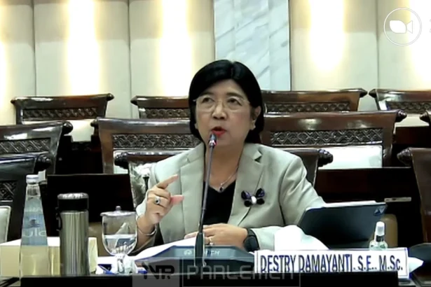 Fit and Proper Test Calon Gubernur BI, Destry Damayanti di Komisi XI DPR RI. (Sumber: YouTube Tv Parlemen)